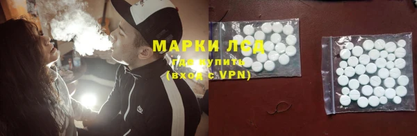прущие грибы Алексеевка