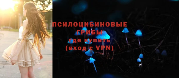 гашик Аркадак
