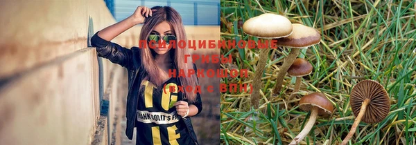 прущие грибы Алексеевка
