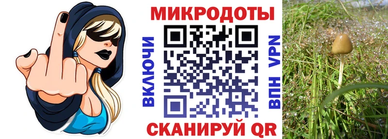 OMG зеркало  закладка  Свирск  Галлюциногенные грибы Cubensis 